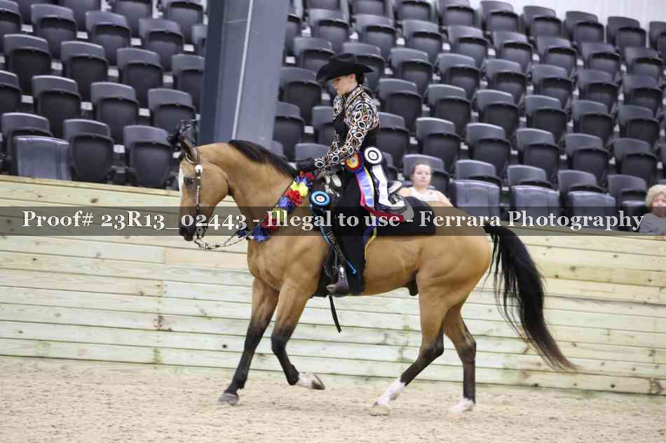Proof 23R13_02443