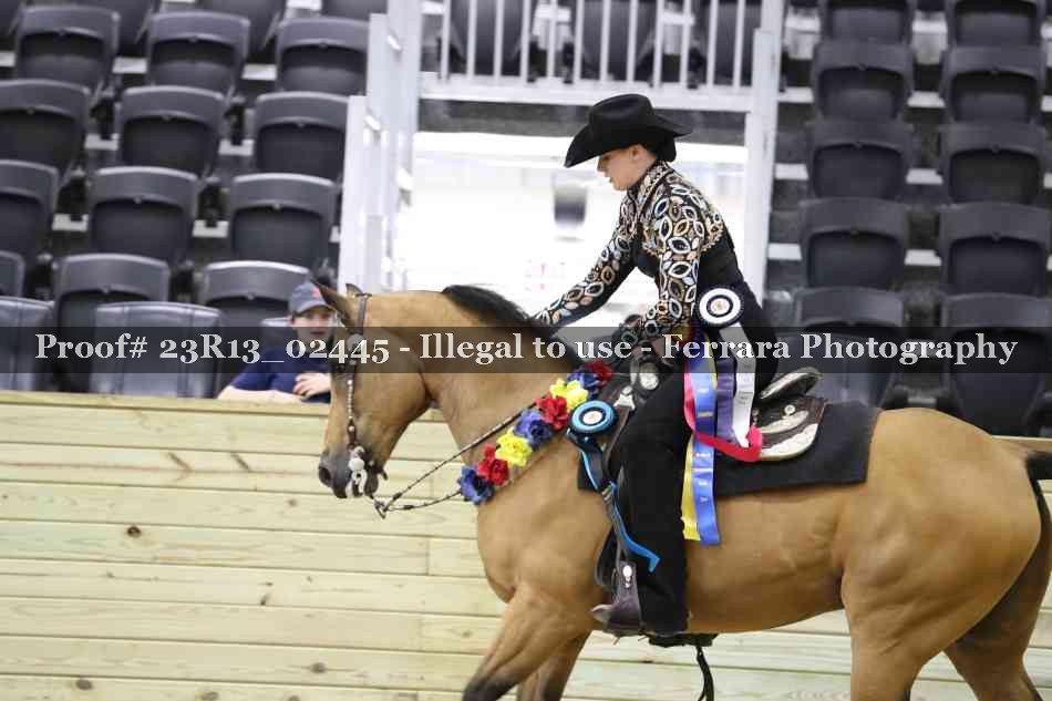 Proof 23R13_02445