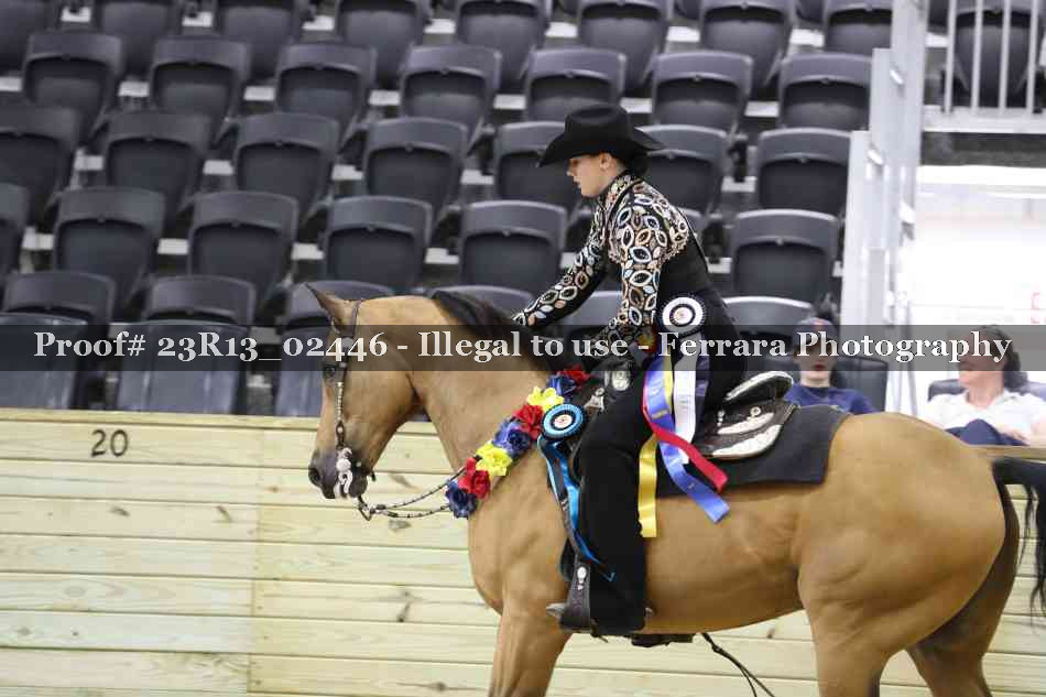 Proof 23R13_02446