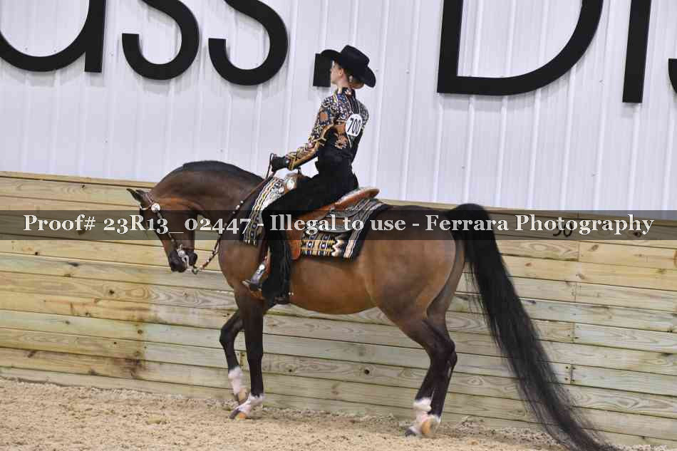 Proof 23R13_02447