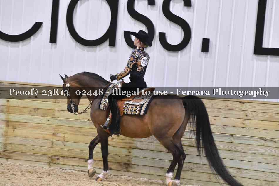 Proof 23R13_02448