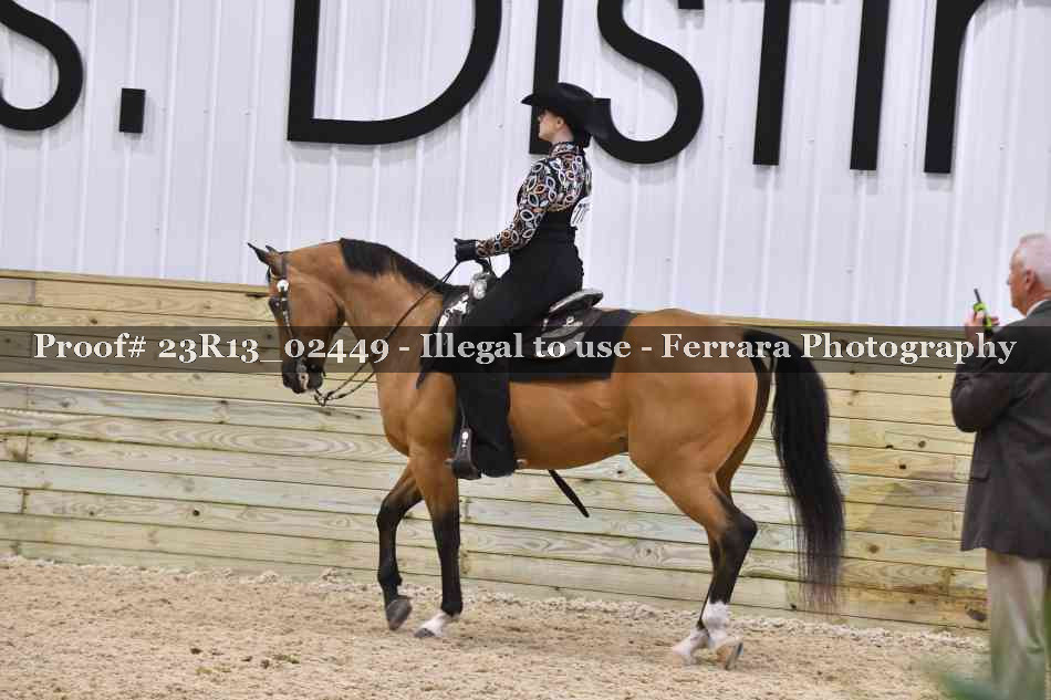 Proof 23R13_02449