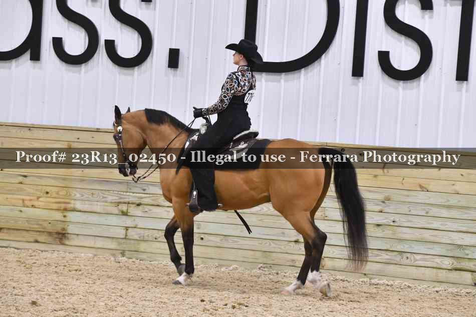 Proof 23R13_02450