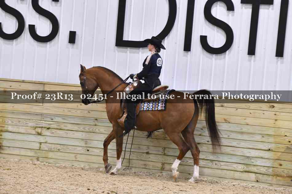 Proof 23R13_02451