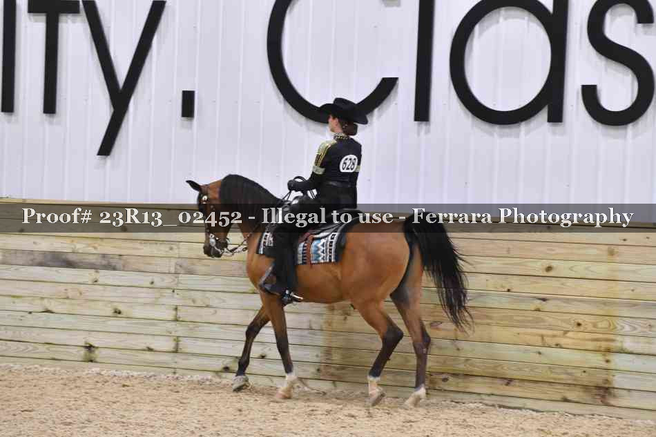 Proof 23R13_02452