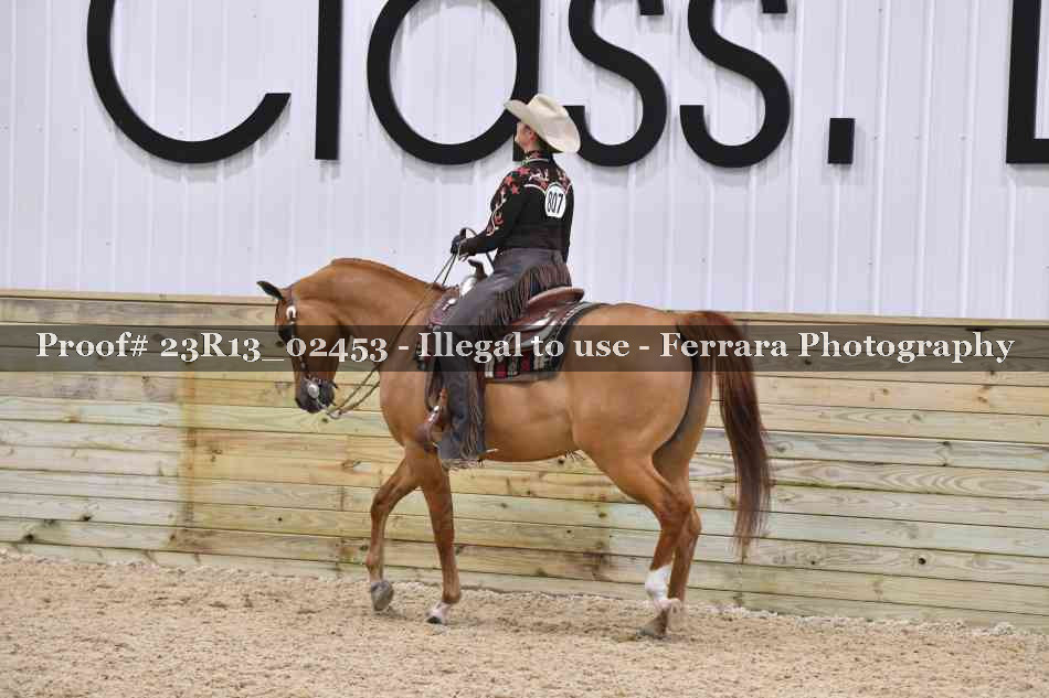 Proof 23R13_02453