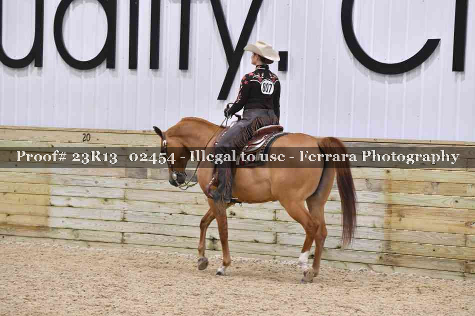 Proof 23R13_02454