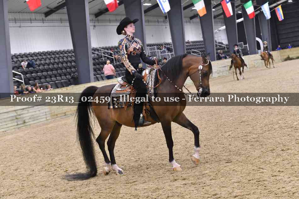Proof 23R13_02459