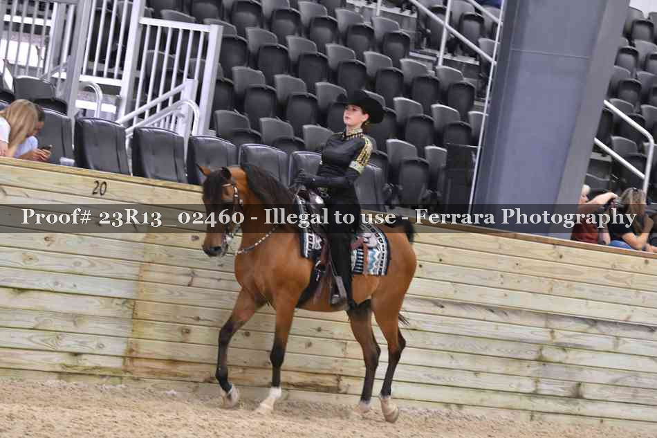 Proof 23R13_02460