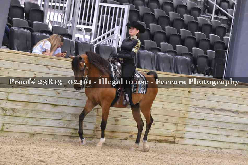 Proof 23R13_02461
