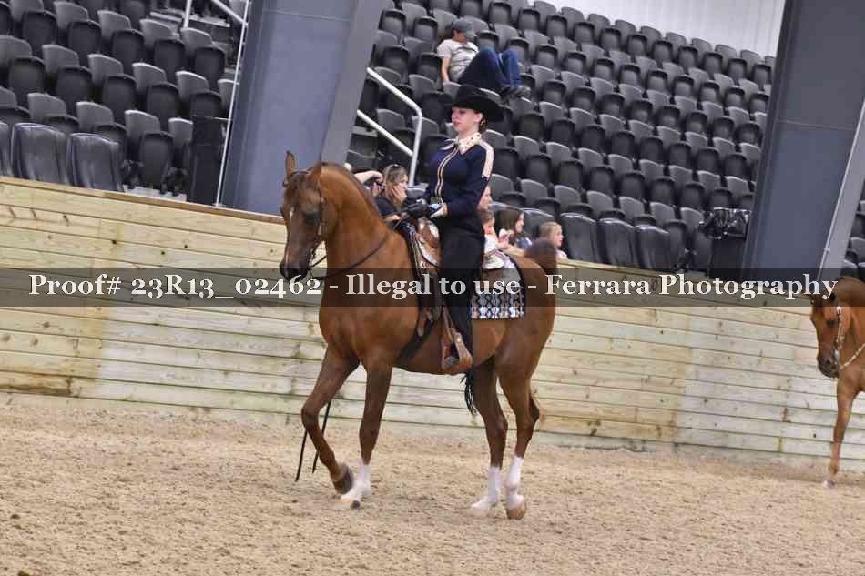 Proof 23R13_02462