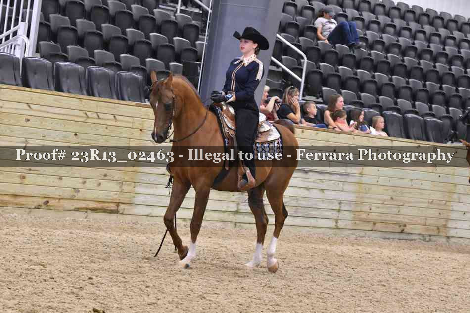 Proof 23R13_02463