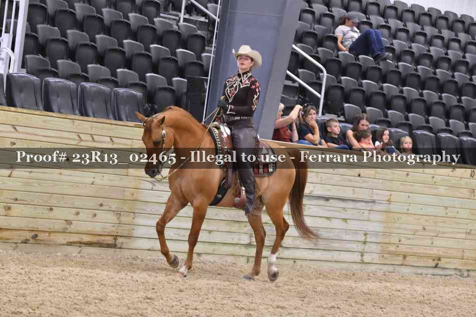 Proof 23R13_02465