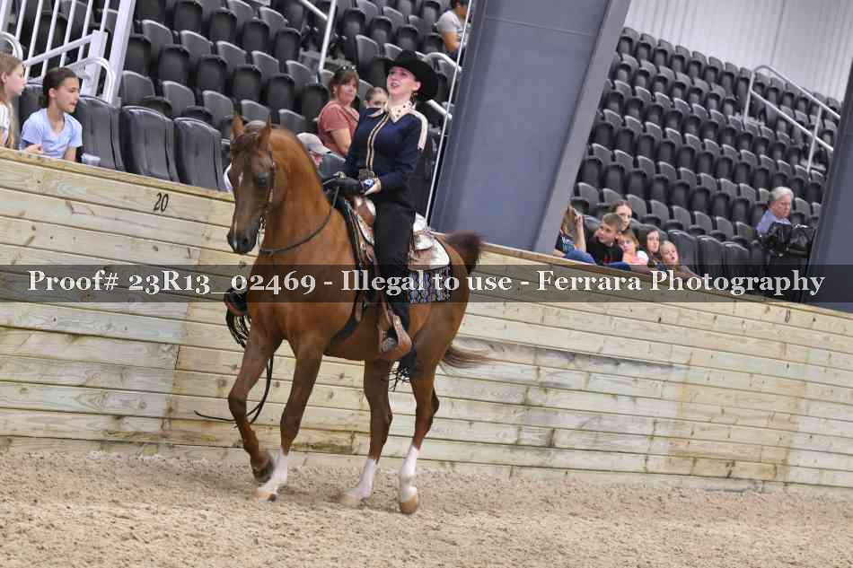 Proof 23R13_02469
