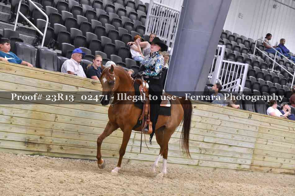 Proof 23R13_02471