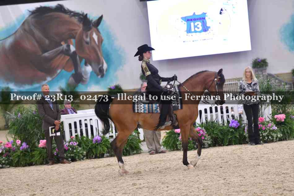 Proof 23R13_02473