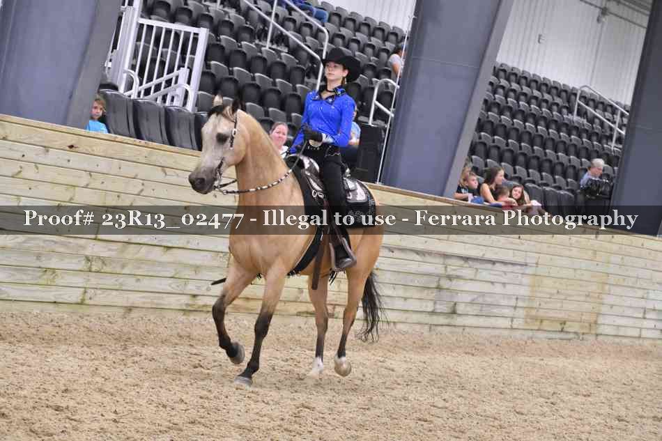 Proof 23R13_02477