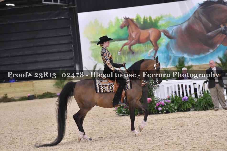 Proof 23R13_02478