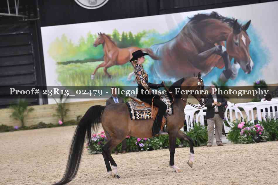 Proof 23R13_02479