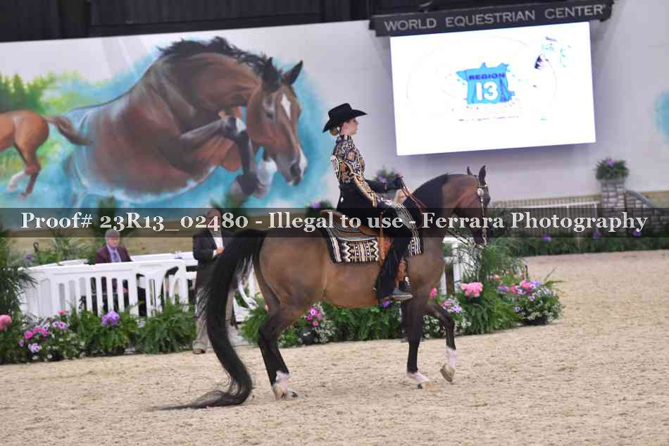 Proof 23R13_02480