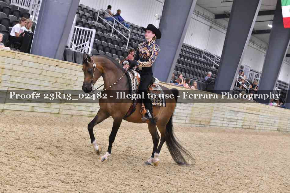 Proof 23R13_02482