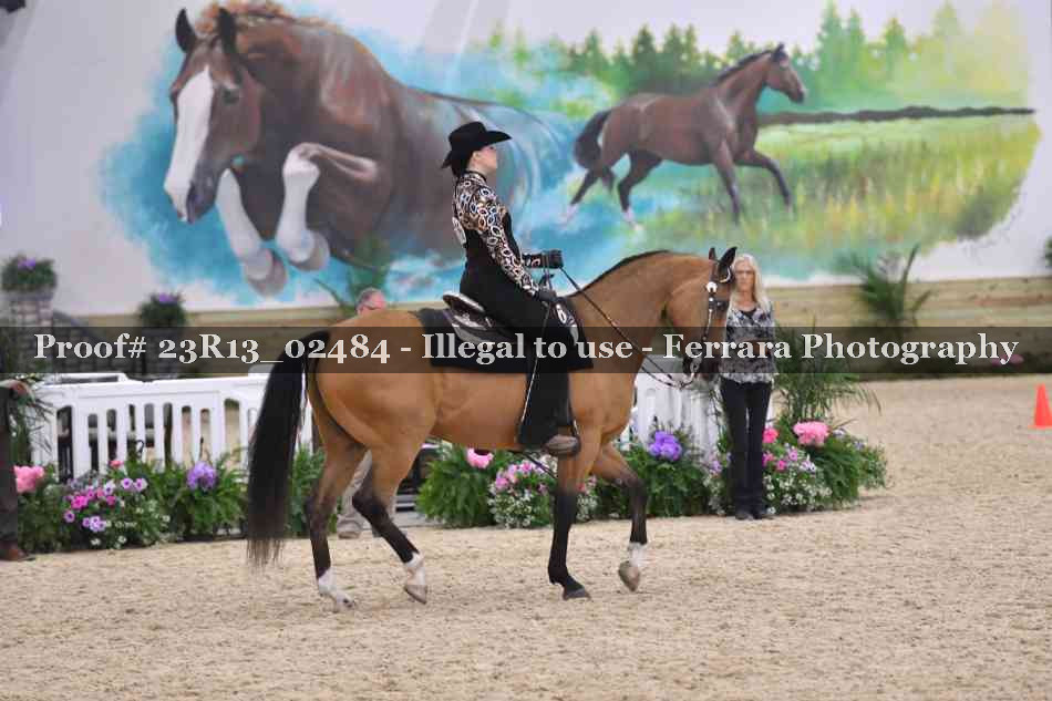 Proof 23R13_02484