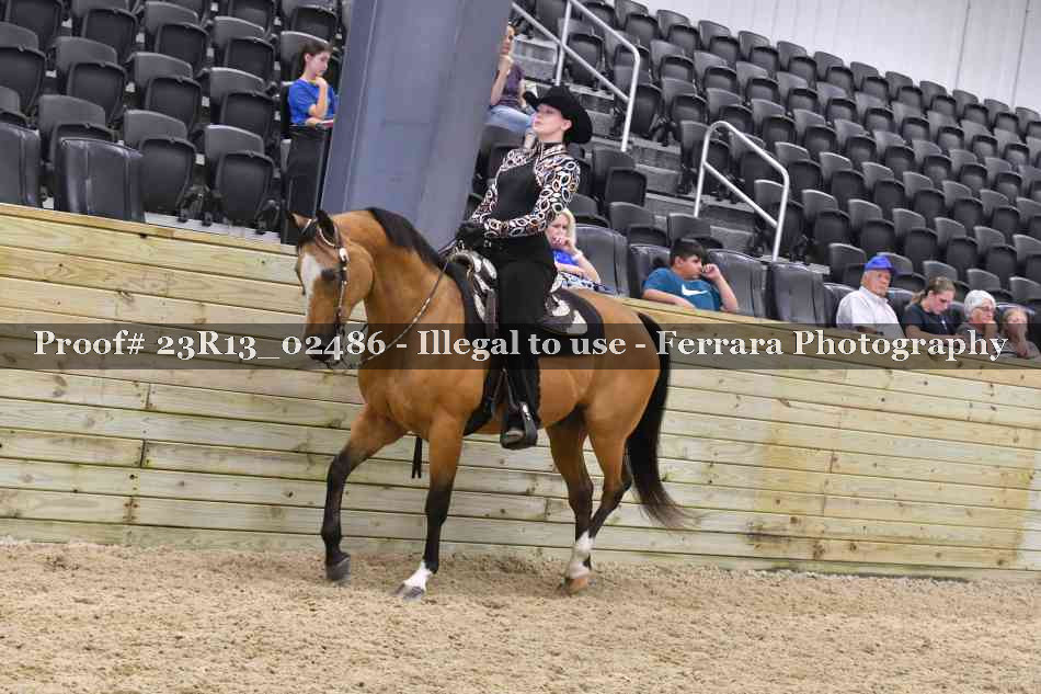 Proof 23R13_02486