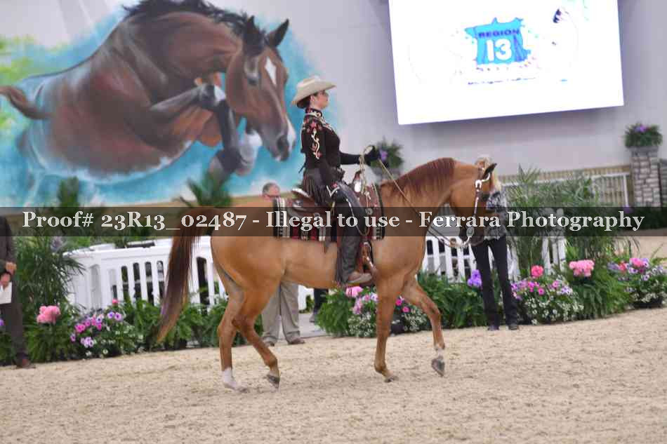 Proof 23R13_02487