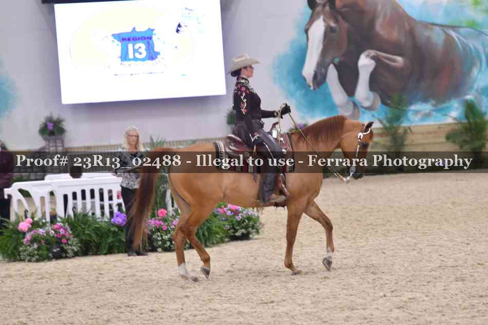 Proof 23R13_02488