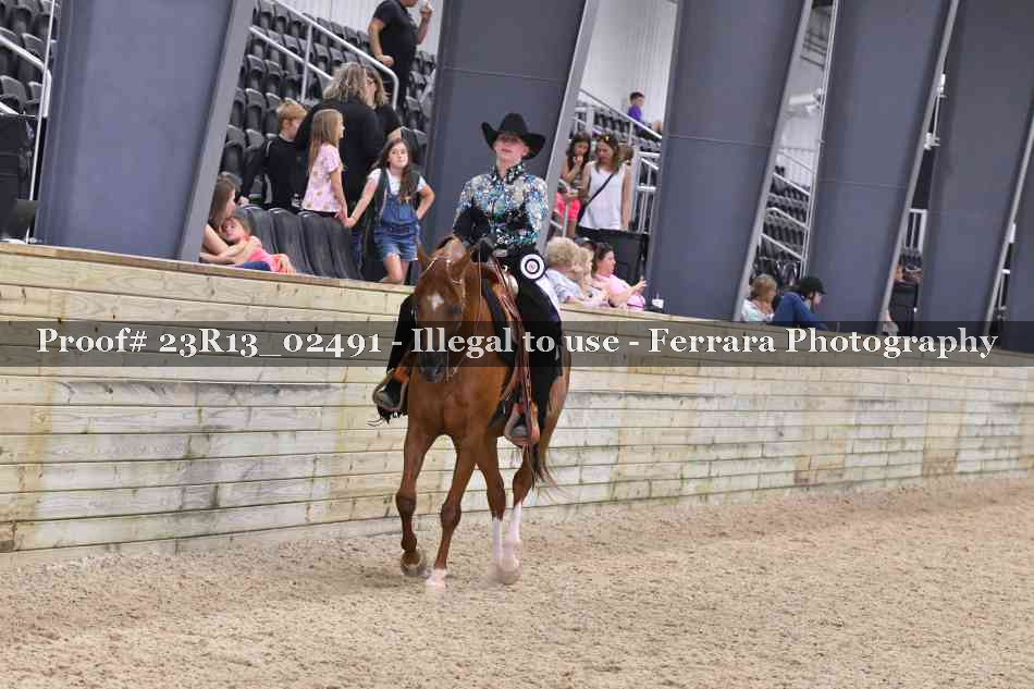 Proof 23R13_02491