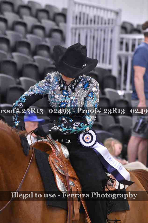 Proof 23R13_02493