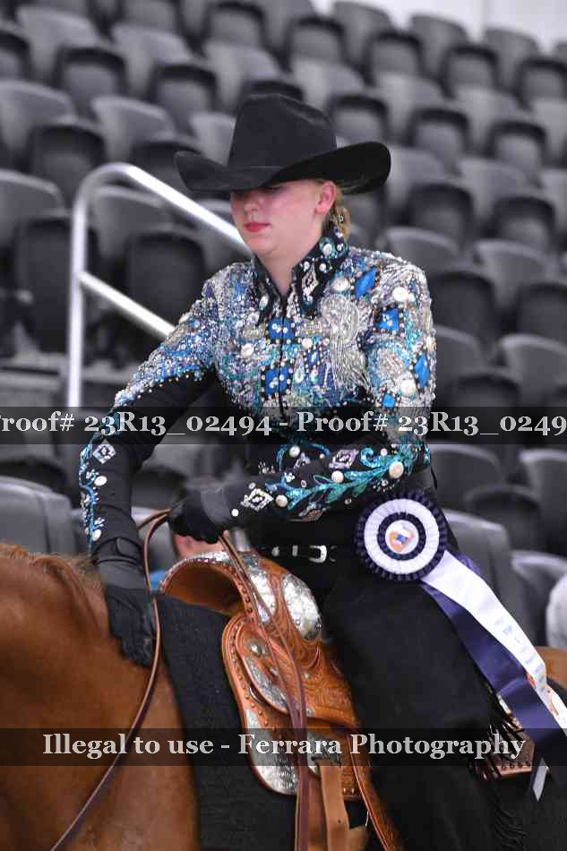 Proof 23R13_02494