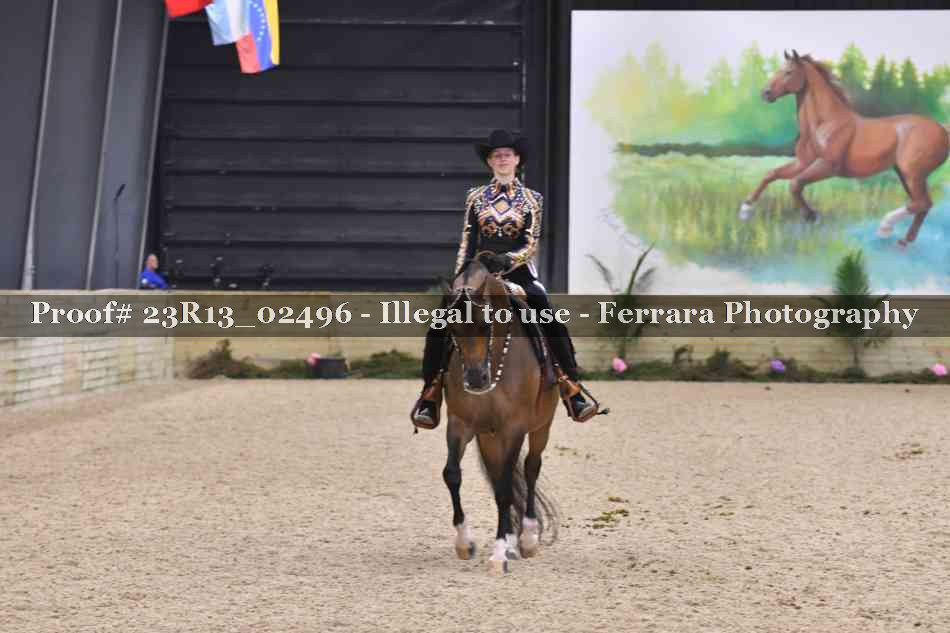 Proof 23R13_02496