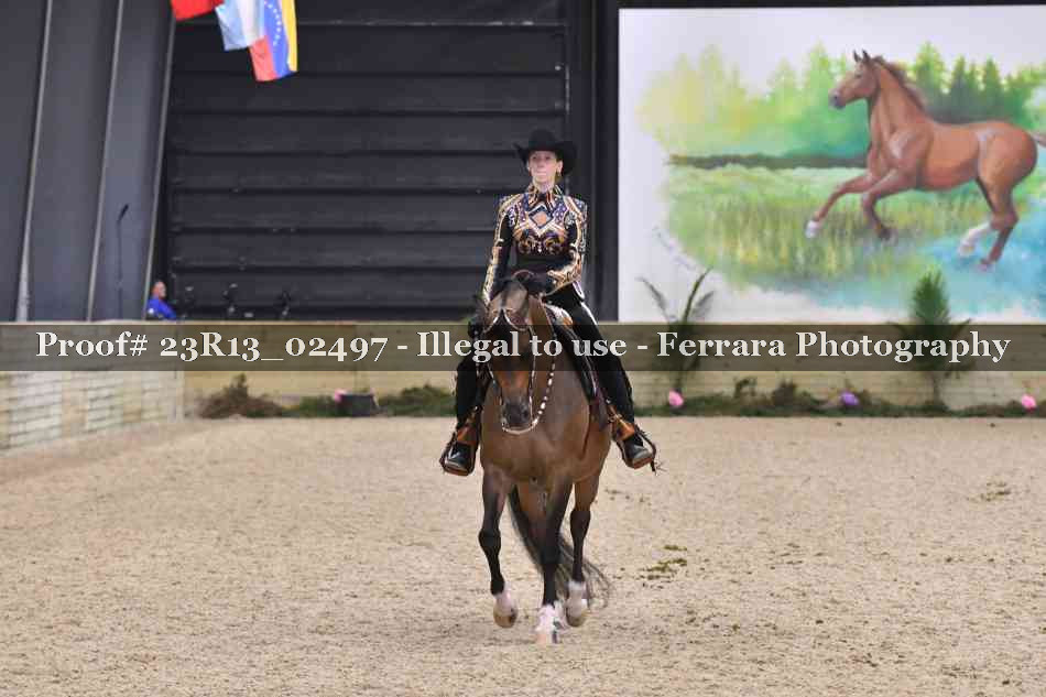 Proof 23R13_02497