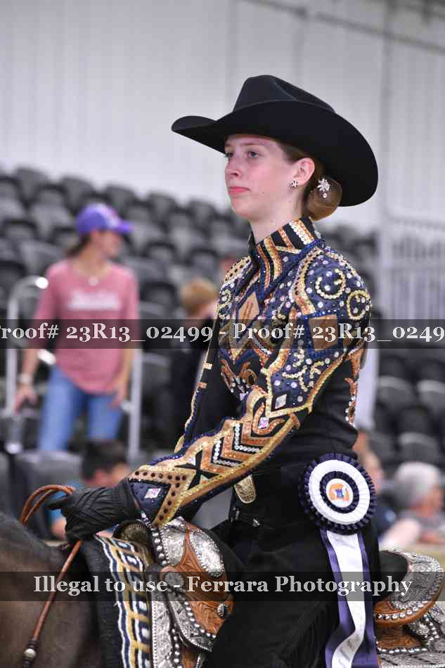 Proof 23R13_02499