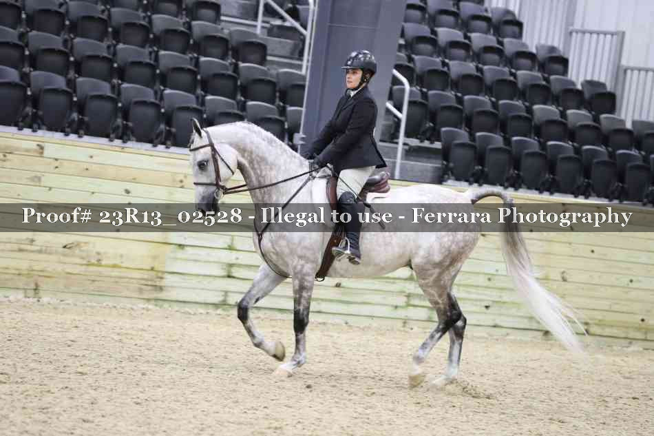 Proof 23R13_02528