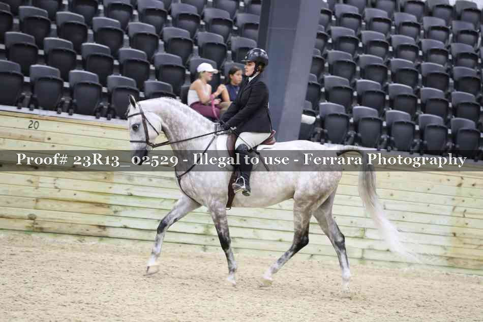 Proof 23R13_02529