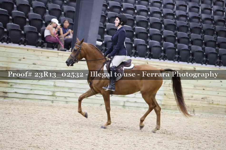 Proof 23R13_02532