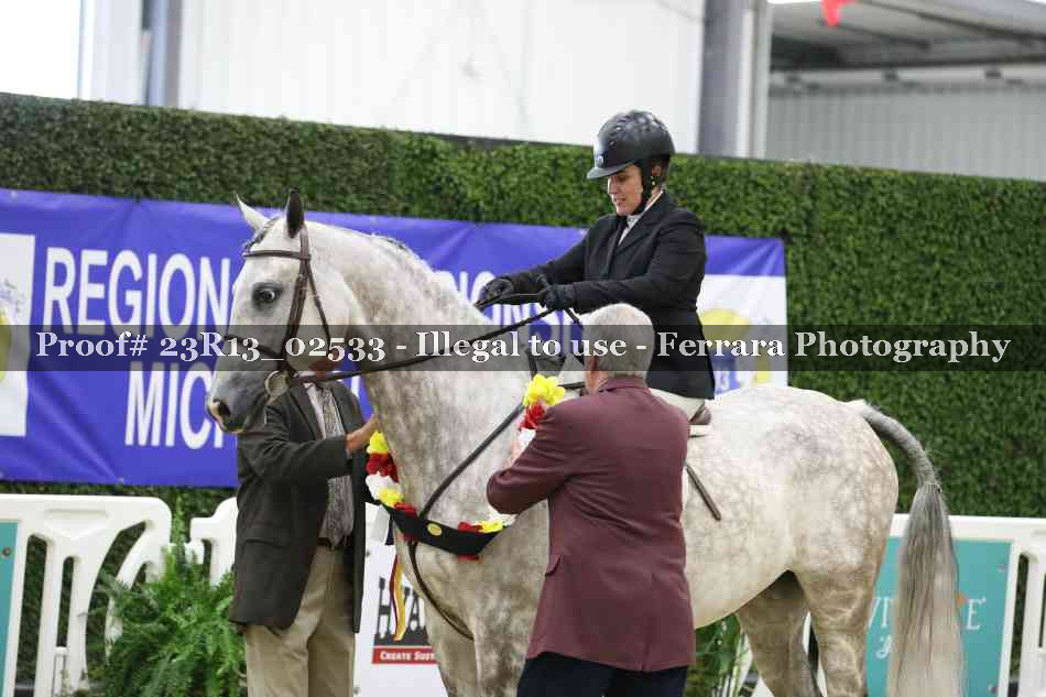 Proof 23R13_02533