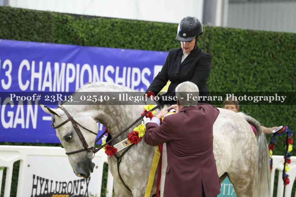 Proof 23R13_02540