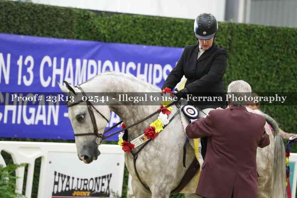 Proof 23R13_02541