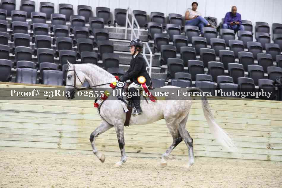 Proof 23R13_02555