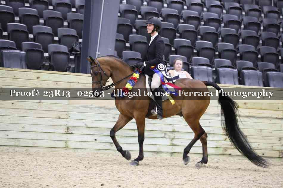 Proof 23R13_02563