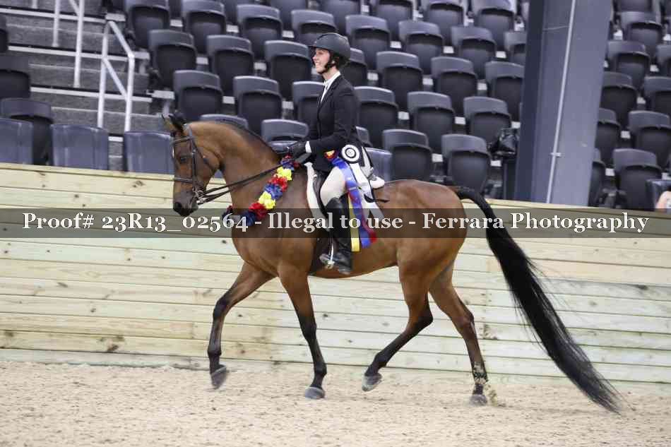 Proof 23R13_02564