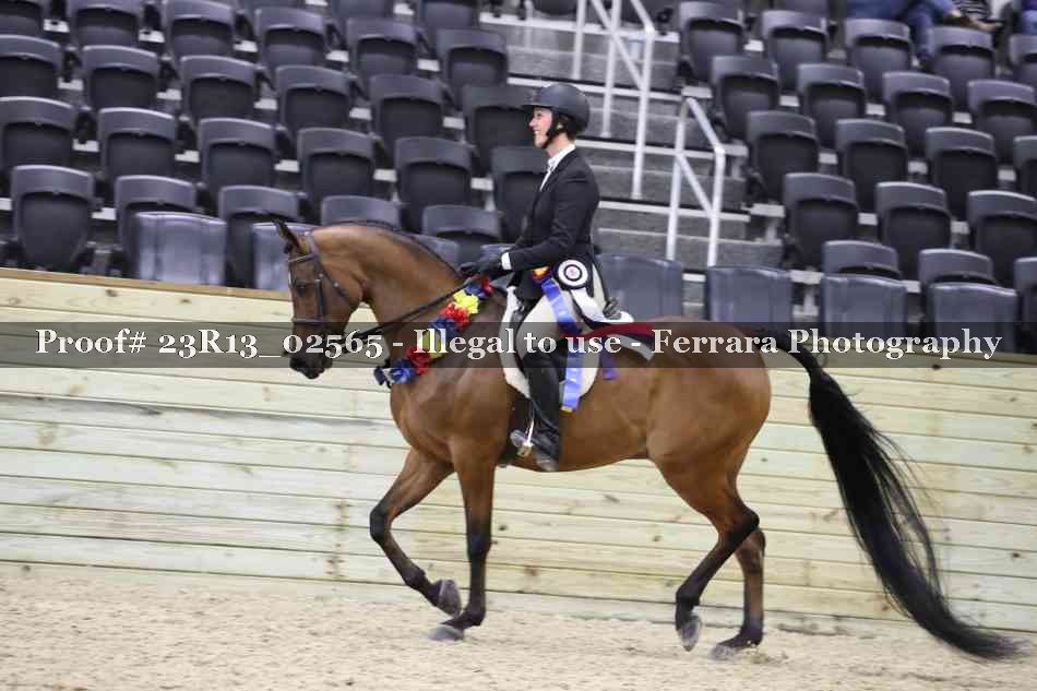 Proof 23R13_02565