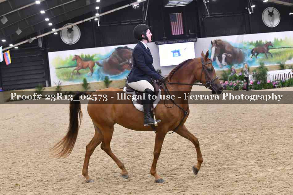 Proof 23R13_02573
