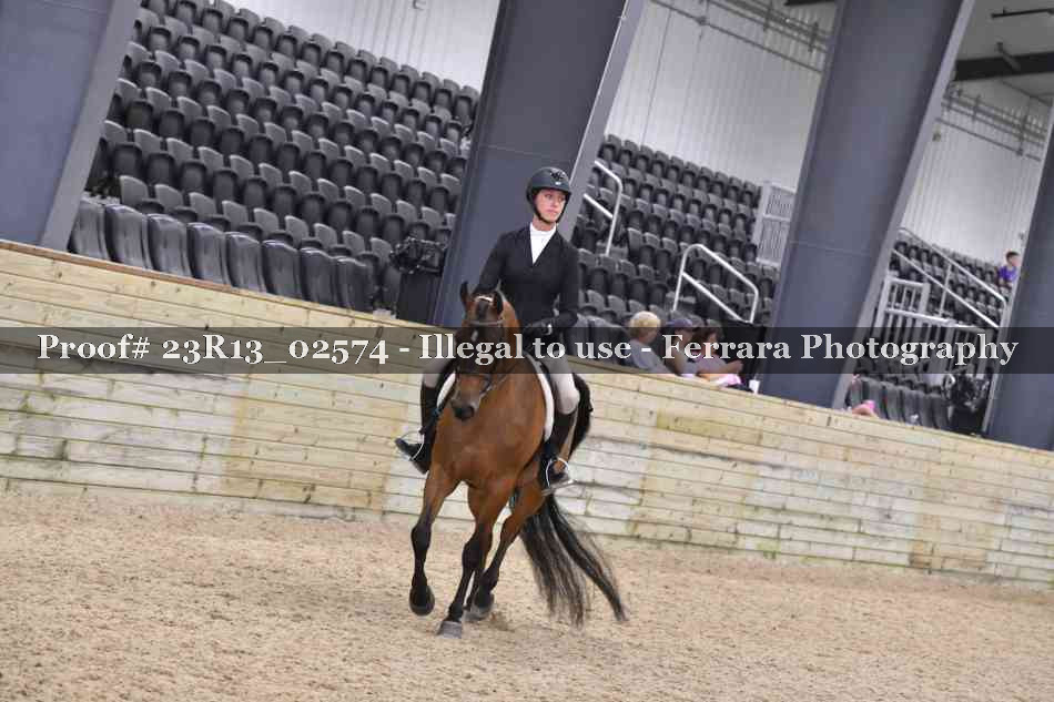 Proof 23R13_02574
