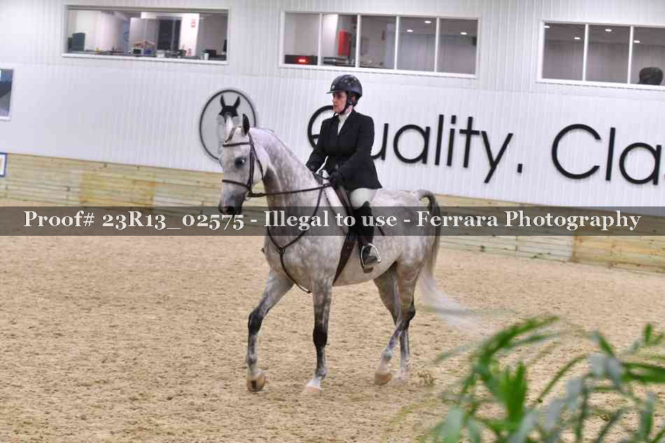 Proof 23R13_02575