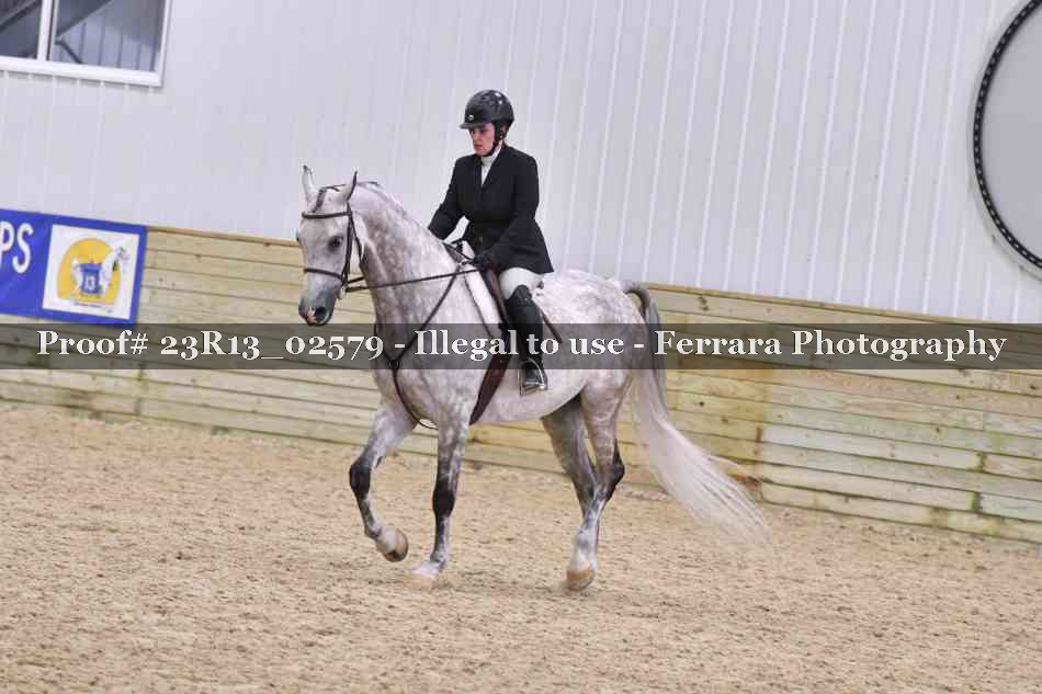 Proof 23R13_02579