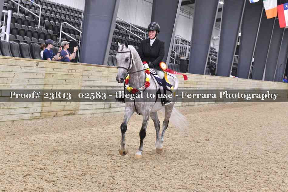 Proof 23R13_02583